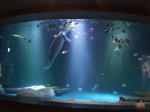 Daegu Aquarium