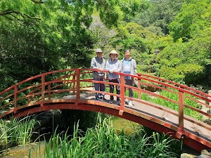 Halla Arboretum