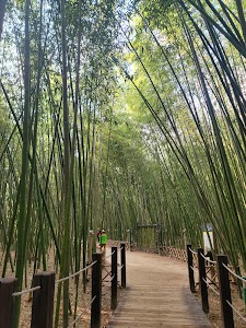 Taehwagang National Garden