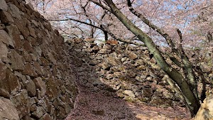 Seosaengpo Japanese Fortress