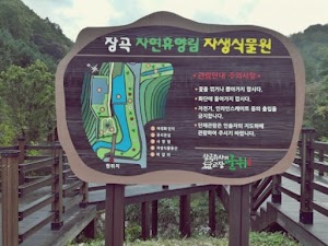 Janggoksan Nature Recreation Forest