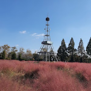 드림파크 야생화공원