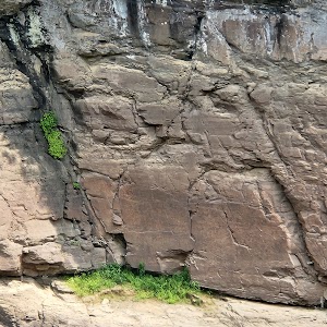 Petroglyphs of Bangudae Terrace in Daegok-ri, Ulju