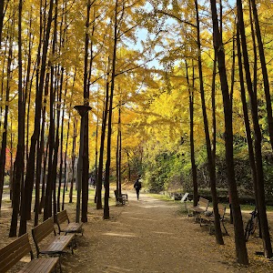 Seoul Forest Park