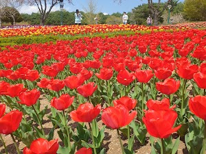 Ulsan Grand Park