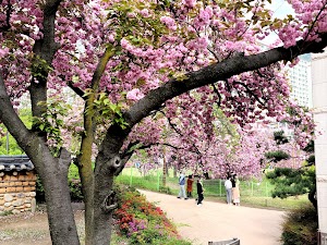 Wolgok History Park