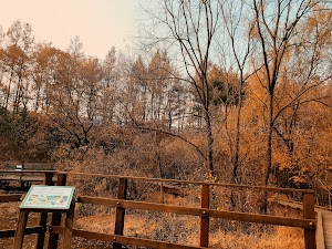 Gildong Ecological Park