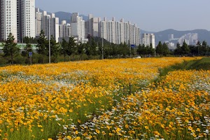 Hwamyeong Ecological Park