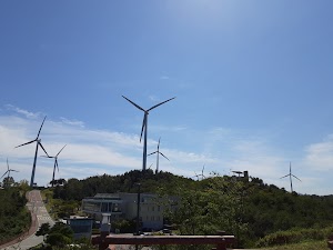 Wind Power Generation Area