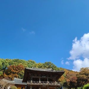 Sobaeksan National Park Buseok Course