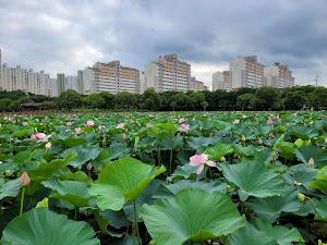 양산호수공원