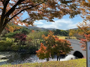 금강수목원