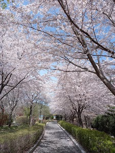 Hwamyeong Arboretum