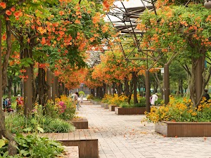 Bucheon Central Park