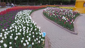 Bucheon Botanical Garden