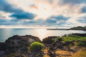 Jeju Olle Trail - Route 12 (Mureung - Yongsu)