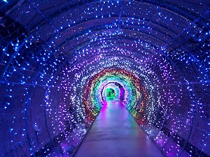 Suyanggae Light Tunnel