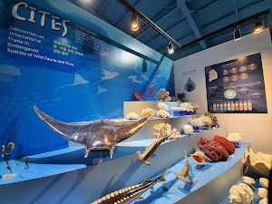 Jeju Marine Animal Museum