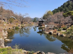 Garden of Morning Calm