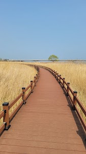 Namdaecheon Salmon Ecological Park