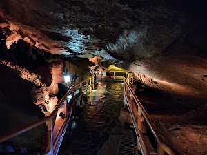 Cheongok Golden Bat Cave