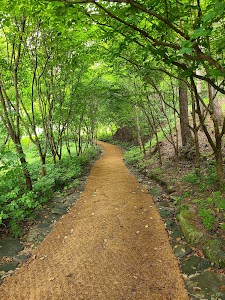 국립한국자생식물원