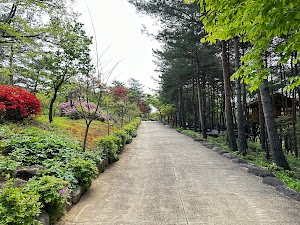 설악산자생식물원