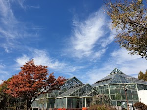 Gangwon Provincial Arboretum