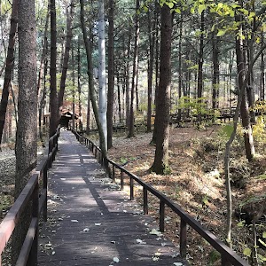 Cheongtaesan Nature Recreation Forest