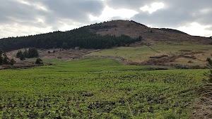 Baekyaki Oreum Volcanic Cone