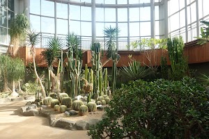 Bucheon Botanical Garden